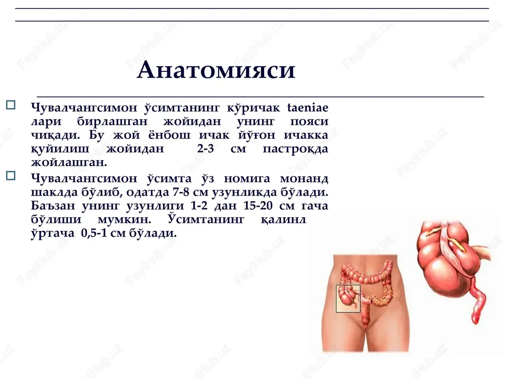 sili va o'smalari, ichak tutilishi; ayollar ichki jinsiy a'zolari o'tkir va surunkali kasalliklari. differentsial diagnostika o'tkir appenditsit – me'da va 12 barmoqli ichak yara perforatsiya-si (diafragma o'ng gumbazi ostida “erkin gaz”) differentsial diagnostika o'tkir appenditsit – o'tkir toshli xoletsis-tit (utt da o't qopi obturatsiyalovchi toshi) differentsial diagnostika o'tkir appenditsit – o'tkir pankreatit (utt: charvi xaltasida suyuqlik, bez kattalash-gan) differentsial diagnostika o'tkir appenditsit – kron kasalligi va mekkel divertikuliti differentsial diagnostika o'tkir appenditsit – o'tkir ichak tutilishi differentsial diagnostika o'tkir appenditsit – o'tkir adneksit, bachadondan tashqari xomiladorlik differentsial diagnostika o'tkir appenditsit – o'ng tomonlama buyrak sanchig'i differentsial diagnostika o'tkir appenditsit – o'ng tomonlama plevrit, pnevmoniya differentsial diagnostika o'tkir appenditsit – o'tkir gastroenterit, dizenteriya differentsial diagnostika o'tkir appenditsit – kapillyarotoksikoz (sheylen-genox kasalligi) differentsial diagnostika o'tkir appenditsitni davolashning yagona yo'li – jarrohlik usuli (appendektomiya). bemor yaqin 1 yoki 2 soat (zarur tayyorgarlikdan so'ng) ichida amaliyotga olinishi zarur; appendikulyar infiltrat tuzalish moyilligi xolatida konservativ …