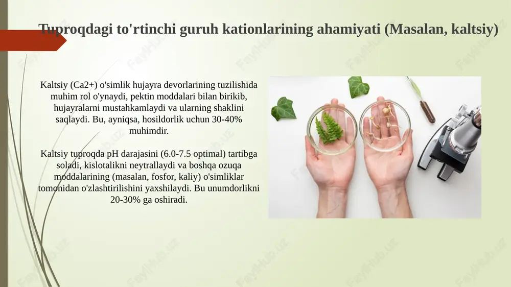 to'rtinchi va beshinchi guruh kationlari - Page 5