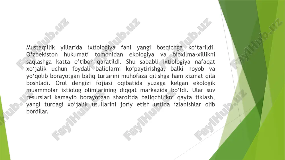 prezentatsiya microsoft powerpoint.pptx - Page 5