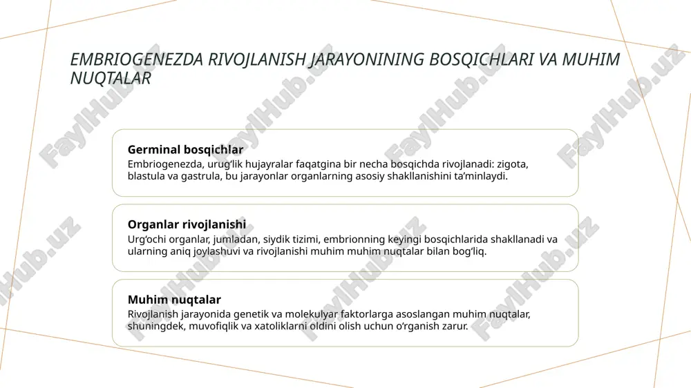siydik ayiruv a zolarining rivojlanish nuqsonlari.pptx - Page 5