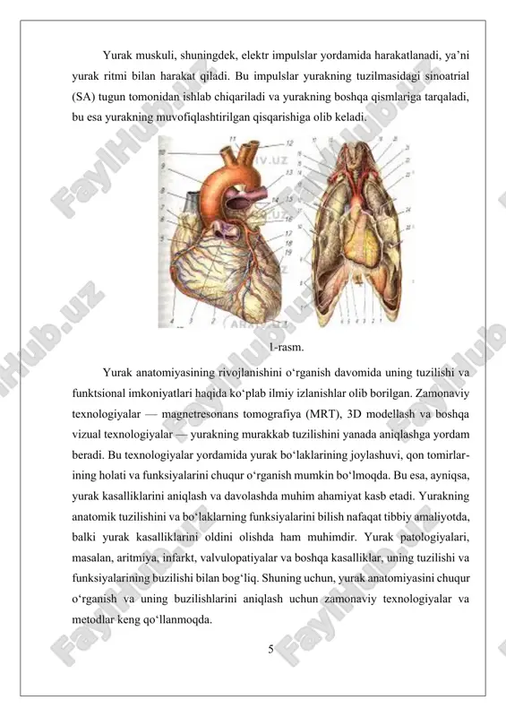 u yurakning harakatlanishini, muskullarning qisqarishini va qoni oqishini real vaqt rejimida ko‘rsatadi. bu texnologiya, ayniqsa, yurakning qisqarish va kengayish mexanizmlarini baholashda, shuningdek, yurak kamchiliklarini aniqlashda muhim ahamiyatga ega. shuningdek, yangi rivojlanayotgan texnologiyalardan biri – massiv ma’lumotlarni tahlil qilish va sun’iy intellekt asosidagi algoritmlar. bu usullar, katta hajmdagi tasvirlar va ma’lumotlarni tezda qayta ishlashni ta’minlab, yurak anatomiyasining murakkab xaritalarini yaratishni osonlashtiradi. sun’iy intellekt yordamida yurakdagi buzilishlar va kasalliklarni oldindan aniqlash imkoniyati ham oshmoqda. bu texnologiyalar, shuningdek, tashxis jarayonini tezlashtirish va shifokorlarga kengroq ma’lumotlar bazasidan foydalanish imkonini beradi. xulosa qilib aytganda, zamonaviy texnologiyalar yurak anatomiyasini chuqurroq va aniqroq o‘rganishga imkon yaratadi. ular yordamida yurakning tuzilishi va funksiyalarini yanada yaxshi tushunish, kasalliklarni erta bosqichda aniqlash va samarali davolash usullarini ishlab chiqish mumkin bo‘lmoqda. bu texnologiyalar nafaqat tibbiyot sohasida, balki yurak kasalliklarini oldini olish va profilaktika qilishda ham muhim ahamiyat kasb etadi. zamonaviy texnologiyalar yordamida yurak anatomiyasini o‘rganish, kelajakda yurak muammolarini davolashda yangi imkoniyatlar …