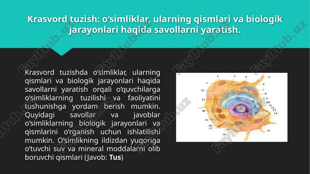 botanikadan masala mashq krasvord va rebuslar tuzish.pptx - Page 5