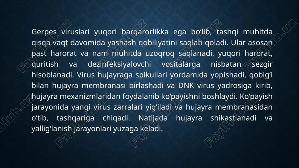 gerpes_viruslari_tasniflash_morfologiya_va_ultrastruktura_kenja.pptx - Page 5