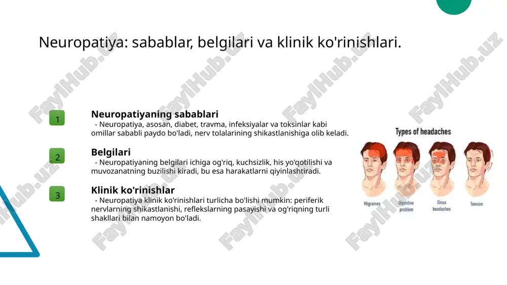 periferik nerv sistemasi kasaliklari.pptx - Page 5