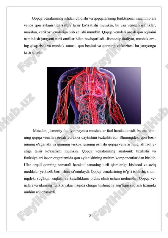 bo'lsa, jarrohlik aralashuvi zarur bo'lishi mumkin. qopqa venalarida kasalliklarning oldini olish ham muhim ahamiyatga ega. salomatlikni saqlash uchun jismoniy faoliyatni oshirish, to'g'ri ovqatlanish, ortiqcha vazndan qochish va uzoq vaqt davomida harakatsiz o'tirmaslik kerak. shuningdek, venoz tizimning sog'lig'ini ta'minlash uchun muntazam ravishda tibbiy ko'riklardan o'tish muhimdir. tadqiqotlar shuni ko'rsatadiki, qopqa venalari kasalliklarining oldini olish va davolashda genetik omillar ham muhim rol o'ynaydi. boshqa omillar, masalan, turmush tarzi va ovqatlanish odatlari ham qopqa venalarining holatiga ta'sir ko'rsatishi mumkin. shuning uchun, qopqa venalarini sog'lom saqlash uchun kompleks yondashuv zarur bo'ladi. umuman olganda, qopqa venalaridagi kasalliklar va ularning davolash usullari inson salomatligi uchun muhim ahamiyatga ega. ularni o'rganish va samarali davolash usullarini ishlab chiqish sog'liqni saqlash tizimida muhim vazifalardan biridir. iii. qopqa venalarining genetik va turmush tarzi ta'siri qopqa venalari, inson organizmida qon aylanish tizimining muhim komponentlari bo‘lib, ularning hosil bo‘lishi va ishlashi ko‘plab omillarga bog‘liqdir. qopqa venasi venoz qonning bir tomonlama oqishini ta'minlaydigan …