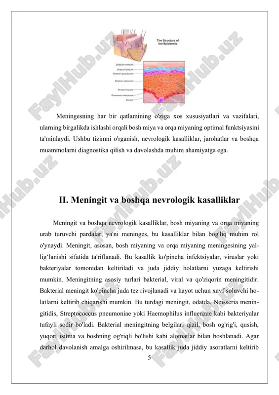 it va boshqa nevrologik kasalliklarni yanada samarali davolash imkoniyatlarini yaratishi mumkin. iii. meninges va keksayish jarayoni meninges va keksayish jarayoni meninges, ya'ni bosh miyaning va orqa miyani himoya qiluvchi pardalar, inson organizmida o'ziga xos va muhim rol o'ynaydi. ular nafaqat bosh miyaning va orqa miyaning tashqi ta'sirlardan himoya qilishini ta'minlaydi, balki keksayish jarayonida ham muhim o'zgarishlarga duchor bo'ladi. keksayish jarayoni, odatda, turli xil fiziologik va anatomik o'zgarishlar bilan bog'liq bo'lib, meningesning tuzilishi va funktsiyalarini ham ta'sir qiladi. keksayish bilan birga, meningesning tuzilishi o'zgaradi. masalan, keksaygan odamlarning meningeslari ko'pincha qalinlashadi va ularning elastikligi pasayadi. bunda, dura mater, arachnoid mater va pia mater qatlamlarining har biri o'ziga xos o'zgarishlarga ega bo'ladi. dura mater, eng tashqi qatlam, yuqori darajada qattiq va bardoshli bo'lib, keksaygan shaxsda ko'proq qattiqlashishi mumkin, bu esa bosh miya va orqa miyani himoya qilishda yordam beradi. arachnoid mater, o'rta qatlam, keksayish jarayonida suyuqlik bilan to'ldirilgan bo'shliqlarning o'zgarishi bilan bog'liqdir. ushbu …