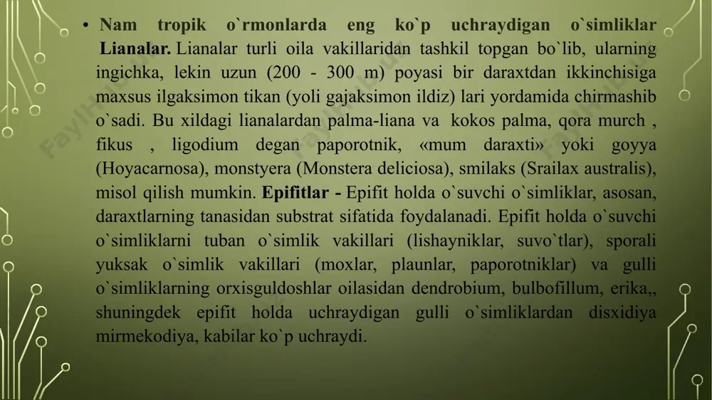 tropik mintaqa o’simliklarini kontur xaritaga tushirish - Page 5