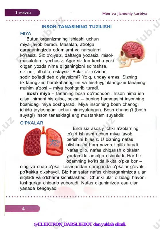 va o'zlarining savati oldida raqibning shunday ishni qilishiga yo‘l qo'ymaslikdan iborat. 0 ‘yin an’anaga ko‘ra, bahsli to‘p tashlashdan boshlanadi. unda jamoa sardorlari ustunlikni qo'lga olish uchun hakam tashlagan to‘pni jamoadoshlari va raqib savati tomonga urib yuborishga harakat qiladi. @elektron_darslikbot dan yuklab olindi. men va s p o rt to‘p har safar raqib savatiga tushganida turli miqdorda ochkolar beriladi. ochkoning miqdori to‘p basketbol maydonining qaysi joyidan tashlanganiga bog'liq: yaqin masofadan - 2 ochko, taxminan 7 metr masofadan - 3 ochko, jarima maydonidan - 1 ochko. basketbol 0 ‘yinining asosiy qoidalari 0 ‘yin jarayonida qadamlarni sanab, to'pni qolda savatga tashlash, uni sherigiga uzatish yoki sakratib yurish mumkin, lekin qadamlar soni uchtadan oshmasligi kerak. ishtirokchilarning oyog'i to‘pga tekkanida o‘yin to'xtamaydi, ya’ni bu holat qoidabuzarlik deb hisoblanmaydi. lekin ataylab to'pni oyoq bilan tepish taqiqlanadi. shuningdek, to'pni savatga ikki qo'llab kiritish ham mumkin emas. 0 ‘yinchilardan birining aybi bilan to‘p o'yin maydonchasidan tashqariga chiqib ketganida …