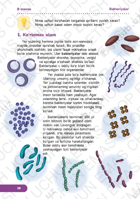 tabiiy fanlar 3-sinf 8-12-darslar - Page 5