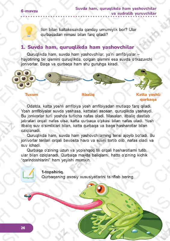 tabiiy fanlar 3-sinf 5-8-darslar - Page 5