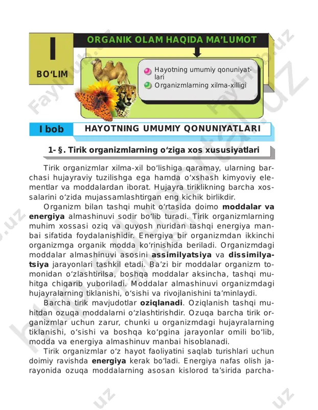di. organizmlar tashqi muhitdagi va o‘zida kuzatiladigan barcha o‘zgarishlarga ham sezgir bo‘ladi. buning uchun yashil o‘sim- liklarning quyosh nuri ta’siriga bo‘lgan munosabatini ko‘rsatib o‘tish kifoya. demak, tirik organizmlar qo‘zg‘aluvchanlik xususi- yati bilan tavsiflanadi. shuningdek, tirik organizmlar o‘zini-o‘zi idora etish xususiyatiga ham ega bo‘lib, u organizmni o‘zgaruv chan tashqi muhit sharoitlariga javoban kimyoviy tarkibi va fiziologik jarayonlarning borishini ma’lum bir me’yorda ushlab tu- rish, ya’ni gomeostaz bilan bog‘liq. bunda tashqi muhitdan qan- daydir ozuqa moddalarni qabul qilishi, yetishmasa organizm o‘zi ning ichki imkoniyatlaridan foydalanishi, aksincha, ortiqcha mod- dalarni zaxira sifatida saqlashi mumkin. ko‘pincha biz turmushda hayot doimiy harakatda degan ibora- ni ishlatamiz. haqiqatdan ham shunday. barcha tirik organizmlar, ayniqsa, barcha hayvonlar doimiy harakatda bo‘ladi. hayvonlar o‘ziga ozuqa topish va xavf-hatardan saqlanishi uchun faol hara katda bo‘lishi zarur. harakatlanish — tirik organizmlar uchun xos bo‘lgan muhim xususiyatlardan biridir. o‘simliklar ham harakatlanish xususiyatiga ega. ammo ular ning harakati juda sekin ro‘y bergani uchun …