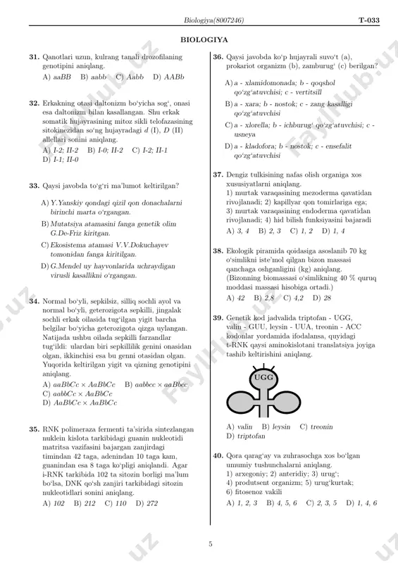 i aniqlandi. agar i-rnk tarkibida 102 ta sitozin borligi ma’lum bo‘lsa, dnk qo‘sh zanjiri tarkibidagi sitozin nukleotidlari sonini aniqlang. a) 102 b) 212 c) 110 d) 272 36. qaysi javobda ko‘p hujayrali suvo‘t (a), prokariot organizm (b), zamburug‘ (c) berilgan? a)a - xlamidomonada; b - qoqshol qo‘zg‘atuvchisi; c - vertitsill b)a - xara; b - nostok; c - zang kasalligi qo‘zg‘atuvchisi c)a - xlorella; b - ichburug‘ qo‘zg‘atuvchisi; c - usneya d)a - kladofora; b - nostok; c - ensefalit qo‘zg‘atuvchisi 37. dengiz tulkisining nafas olish organiga xos xususiyatlarni aniqlang. 1) murtak varaqasining mezoderma qavatidan rivojlanadi; 2) kapillyar qon tomirlariga ega; 3) murtak varaqasining endoderma qavatidan rivojlanadi; 4) hid bilish funksiyasini bajaradi a) 3, 4 b) 2, 3 c) 1, 2 d) 1, 4 38. ekologik piramida qoidasiga asoslanib 70 kg o‘simlikni iste’mol qilgan bizon massasi qanchaga oshganligini (kg) aniqlang. (bizonning biomassasi o‘simlikning 40 % quruq moddasi massasi hisobiga ortadi.) …