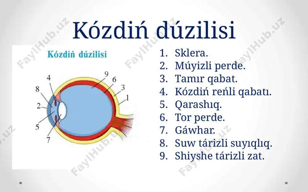 fizika 9-klass kóz hám kóriw. 26 mektep.xojabaev bolat - Page 5