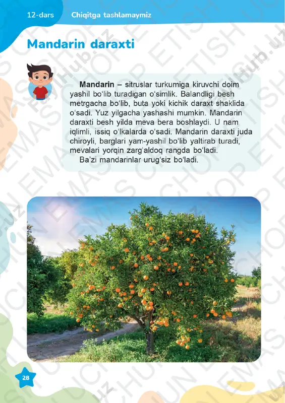 texnologiya 3-sinf 10-16-darslar - Page 5