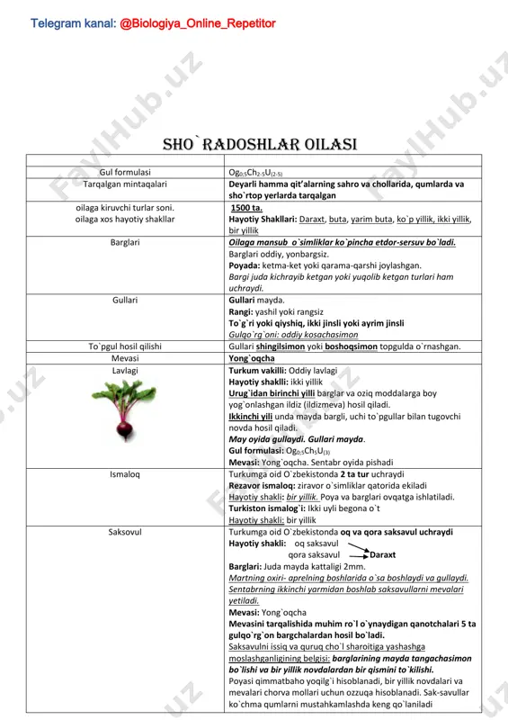 larida uchratish mumkin oddiy g`o`za vatani: markaziy amerika ostki gulkosachabarglari 3 ta, kosachabarglari 5 ta gullari: yakka, yirik, gultojbarglari och sariq, tubi qizil, dog`siz. ko`saklari: yirik, 4-5 chanoqli, yaxshi ochiladi tolasi: mayin, uzun, oq, bazan qo`ng`ir rangda hozir o`zbekistonda shu tur barbados g`o`zasi vatani: janubiy amerika (peru, kolumbiya, braziliya) ostki gulkosachabarglari 3 ta, kosachabarglari 5 ta gullari: yakka, yirik, gultojbarglari sap-sariq limon rangida. ko`saklari: yirik, 3-4 chanoqli, yaxshi ochiladi. tolasi: uzun, ipakka o`xshash mayin, och sariq. telegram kanal: @biologiya_online_repetitor bo`ritaroq turkum vakilli: kanop bo`yi: 1 m dan ham oshadi. hayotiy shakli: bir yillik kanop o`simligida lup tolasi yaxshi rivojlanganligi uchun undan ip, gazlama va qop tayyorlashda foydalaniladi. bu oilaga afrika savanalarining timsoli baobab ham mansub burchoqdoshlar oilasi gul formulasi gk(5)gt1+2+(2)ch(9)+1u1 tarqalgan mintaqalari yer sharining deyarli barcha qismida tarqalgan oilaga kiruvchi turlar soni. oilaga xos hayotiy shakllar 12000 ga yaqin o`simlik turlari kiradi. hayotiy shakllari: ko`pchiligi bir, ikki va ko`p yillik …