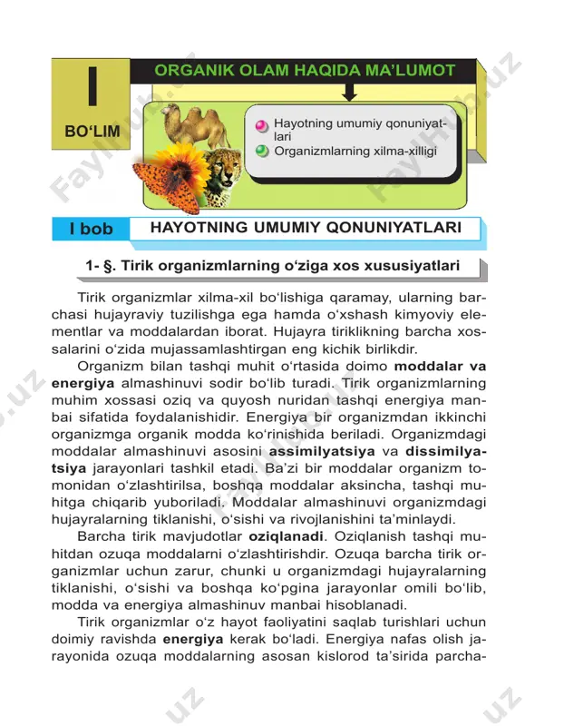 ‘sim- liklarning quyosh nuri ta’siriga bo‘lgan munosabatini ko‘rsatib o‘tish kifoya. demak, tirik organizmlar qo‘zg‘aluvchanlik xususi- yati bilan tavsiflanadi. shuningdek, tirik organizmlar o‘zini-o‘zi idora etish xususiyatiga ham ega bo‘lib, u organizmni o‘zgaruv chan tashqi muhit sharoitlariga javoban kimyoviy tarkibi va fiziologik jarayonlarning borishini ma’lum bir me’yorda ushlab tu- rish, ya’ni gomeostaz bilan bog‘liq. bunda tashqi muhitdan qan- daydir ozuqa moddalarni qabul qilishi, yetishmasa organizm o‘zi ning ichki imkoniyatlaridan foydalanishi, aksincha, ortiqcha mod- dalarni zaxira sifatida saqlashi mumkin. ko‘pincha biz turmushda hayot doimiy harakatda degan ibora- ni ishlatamiz. haqiqatdan ham shunday. barcha tirik organizmlar, ayniqsa, barcha hayvonlar doimiy harakatda bo‘ladi. hayvonlar o‘ziga ozuqa topish va xavf-hatardan saqlanishi uchun faol hara katda bo‘lishi zarur. harakatlanish — tirik organizmlar uchun xos bo‘lgan muhim xususiyatlardan biridir. o‘simliklar ham harakatlanish xususiyatiga ega. ammo ular ning harakati juda sekin ro‘y bergani uchun deyarli bilinmaydi. tirik organizmlarning muhim xususiyatlaridan yana biri ko‘pa­ yishdir. ushbu xususiyat tiriklikning eng zaruriy …