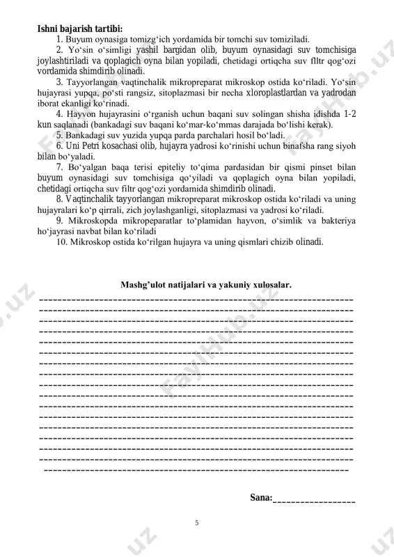 nik nacl eritmasi, qizil rangli piyozbosh. ishni bajarish tartibi: 1. har bir o‘quvchi stoliga laboratoriya ishi uchun kerakli bo‘lgan barcha jihozlar tarqatiladi. 2. o‘quvchi skalpel yordamida qizil rangli piyozbosh po‘stidan yupqa kesib olib, buyum oynasiga qo‘yadi va ustiga bir tomchi suv tomizib qoplagich oyna bilan yopadi. 3. tayyorlangan vaqtinchalik mikropreparat mikroskopning kichik obyektivida ko‘riladi. mikroskopda hujayralar bir tekis bo‘yalgan va tarang turgan holatida ko‘rinadi. 4. vaqtinchalik mikropreparatning, qoplagich oynasi bir chetiga nacl ning 1% li eritmasidan bir tomchi tomiziladi va sitoplazma hujayra po‘stidan asta-sekin ajralishi - plazmoliz hodisasi kuzatiladi. 5. biroz vaqt o‘tgach, qoplagich oynasi bir chetiga bir tomchi suv tomizilib, ikkinchi tomonidan dastlab tomizilgan 1% li nacl eritmasi filtr qog‘ozi orqali shimdirib olinadi. 6. suvning hujayraga qayta shimilishi natijasida uning sitoplazmasi sathi ortib, hujayra devoriga tarqaladi, ya'ni hujayra normal holatga o‘tadi. bunday jarayon deplazmoliz holati deyiladi. mashg’ulot natijalari va yakuniy xulosalar. ____________________________________________________________________ ____________________________________________________________________ ____________________________________________________________________ ____________________________________________________________________ ____________________________________________________________________ ____________________________________________________________________ ____________________________________________________________________ ____________________________________________________________________ …