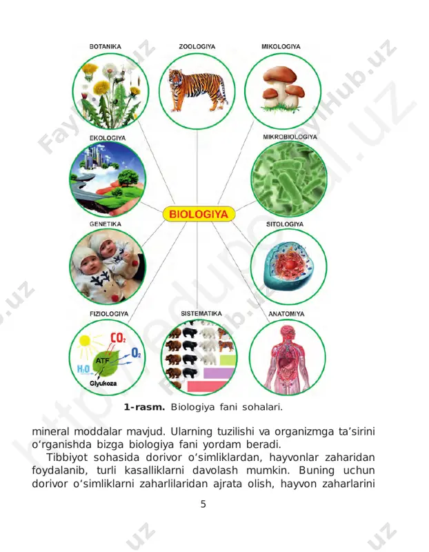 yo biologiya fani rivojlanishiga o‘z hissangizni qo‘shishingiz mumkinligiga ishonamiz. muhsin nabixonovich valixonov to‘raxon uzoqovna rahimova jaloliddin azimovich azimov • biologiya sohalari • dehqonchilik • chorvachilik • tibbiyot • o‘zbek olimlari 1. biologiya qanday sohalarga bo‘linadi? 2. tirik organizmning tashqi va ichki tuzilishini o‘rganuvchi fan- lar qanday nomlanadi? 3. sistematika nimani o‘rganadi? 4. abu nasr forobiy to‘g‘ri ovqatlanish tartibi haqida qanday fikr bildirgan? 5. biologiya fanining rivojlanishiga munosib hissa qo‘shgan yana qanday o‘zbek olimlarini bilasiz? 6. siz biolog olim bo‘lganingizda qaysi sohada shug‘ullanishni xohlagan bo‘lardingiz? nima uchun?htt p:/ /ed up ort al. uz 8 1-laboratoriya mashg‘uloti 1.1. xavfsizlik texnikasi qoidalari bilan tanishish 1. laboratoriya va amaliy mashg‘ulotlarni o‘qituvchingiz nazorati ostida amalga oshiring. 2. mashg‘ulotlarni bajarish tartibini diqqat bilan o‘qib chiqing. 3. kerakli jihozlarni topib, stol ustiga tartib bilan qo‘ying. ortiqcha narsalarni olib tashlang. 4. asboblarning sozligini, idishlarning butunligini tekshiring. darz ketgan, cheti uchgan probirka va kolbalardan foydalanmang! 5. qizdirganda yoki qaynatganda …