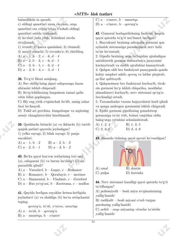 d berilgan bo‘lsa, uydan zavodga necha xil usulda borish mum- kin? a) 6 b) 7 c) 8 d) 9 2200.. to‘la sirtining yuzi hajmiga qiymat jihatdan teng bo‘lgan kubning barcha qirralari uzunligi yig‘indisini hisoblang. a) 24 b) 36 c) 48 d) 72 oo‘‘zzbbeekkiissttoonn ttaarriixxii __________________________________________ 2211.. somoniylar poytaxti buxoro shahrini birin- chi bo‘lib (992-yilda) qaysi qoraxoniy hukmdor egallagan? a) nasr eloqxon b) ibrohim bo‘ritegin c) sabuqtegin d) horun bug‘roxon 2222.. 1995-yil yurtimizda kimning 850 yillik yubileyi keng nishonlangan? a) najmiddin kubro b) ahmad farg‘oniy c) jaloliddin manguberdi d) bahouddin naqshbandiy 2233.. zardushtiylik dinidagi quyosh va yorug‘lik xudosini aniqlang. a) anaxita b) ahriman c) mitra d) ahuramazda 2244.. markazi kerder shahri bo‘lgan ilk qoraqal- poq davlatining markazi hozirgi qoraqalpog‘is- tonning qaysi tumanida joylashgan edi? a) kegayli tumanida b) to‘rtko‘l tumanida «mts» bbllookk tteessttllaarrii 53 c) tuproqqal’a shahri d) ellikqal’a tumanida 2255.. o‘zbekiston respublikasida 2016-yildan bosh vazir lavozimida kim ishlab kelmoqda? a) …