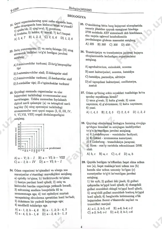 test 2025 - Page 5