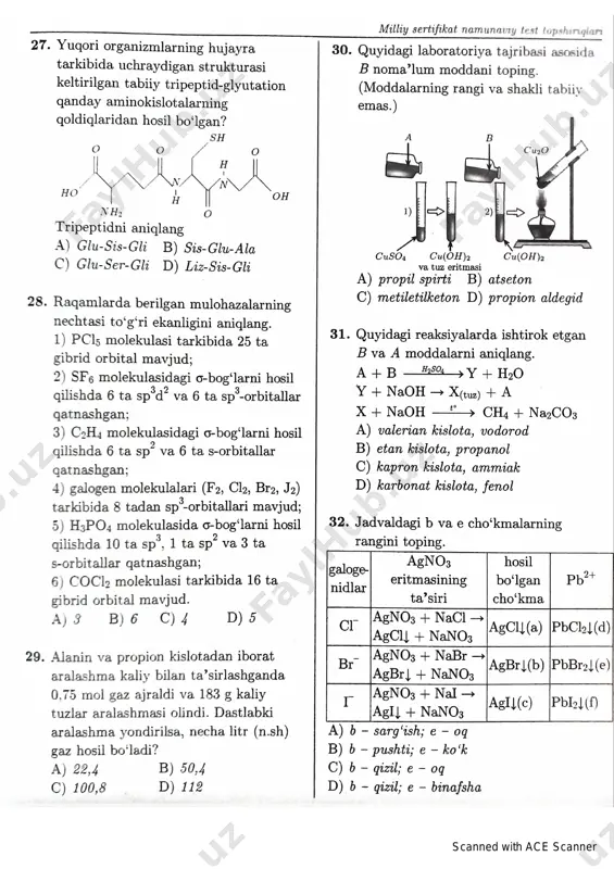 4 - variant - Page 5