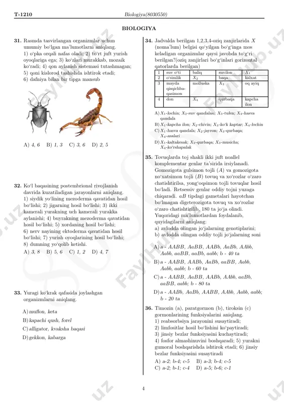 siydik yo‘lining mezoderma qavatidan hosil bo‘lishi; 2) jigarning hosil bo‘lishi; 3) ikki kamerali yurakning uch kamerali yurakka aylanishi; 4) buyrakning mezoderma qavatidan hosil bo‘lishi; 5) xordaning hosil bo‘lishi; 6) nerv nayining ektoderma qavatidan hosil bo‘lishi; 7) yurish oyoqlarining hosil bo‘lishi; 8) dumning yo‘qolib ketishi. a) 3, 8 b) 5, 6 c) 1, 2 d) 4, 7 33. yuragi ko‘krak qafasida joylashgan organizmlarni aniqlang. a)muflon, keta b)kapachi qush, forel c)alligator, kvaksha baqasi d)gekkon, kabarga 34. jadvalda berilgan 1,2,3,4-oziq zanjirlarida x (noma’lum) belgisi qo‘yilgan bo‘g‘inga mos keladigan organizmlar qaysi javobda to‘g‘ri berilgan?(oziq zanjirlari bo‘g‘inlari gorizontal qatorlarda berilgan) 1 suv o‘ti baliq suvilon x1 2 o‘simlik x2 baqa kalxat 3 mayda qisqichba- qasimon molluska x3 oq ayiq 4 don x4 qurbaqa kapcha ilon a)x1-lochin; x2-suv qandalasi; x3-tulen; x4-hasva qandala b)x1-kapcha ilon; x2-chivin; x3-ko‘k kaptar; x4-lochin c)x1-hasva qandala; x2-jayron; x3-qurbaqa; x4-asalari d)x1-kaltakesak; x2-qurbaqa; x3-musicha; x4-ko‘rshapalak 35. tovuqlarda toj shakli ikki juft noallel komplementar genlar …