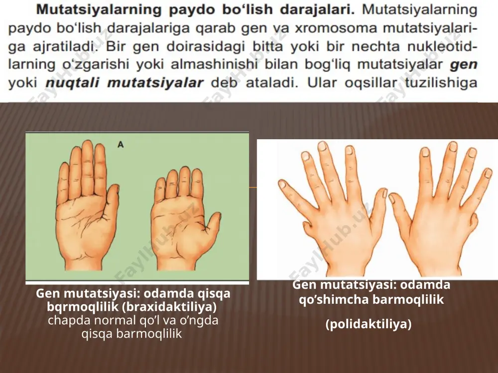 1-maktab abdugofur mutatsion o'zgaruvchanlik - Page 5