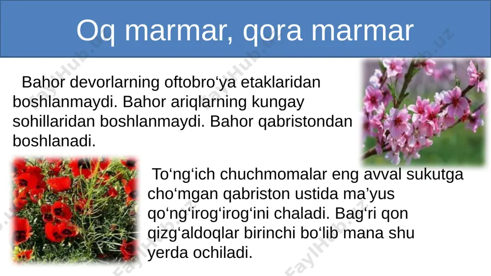 qarz oq marmar, qora marmar - Page 5