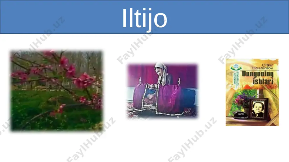 o'.hoshimov iltijo va gilam paypoq - Page 5