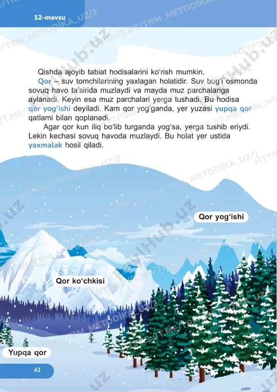 tabiiy fanlar 1sinf 12-13 dars - Page 5