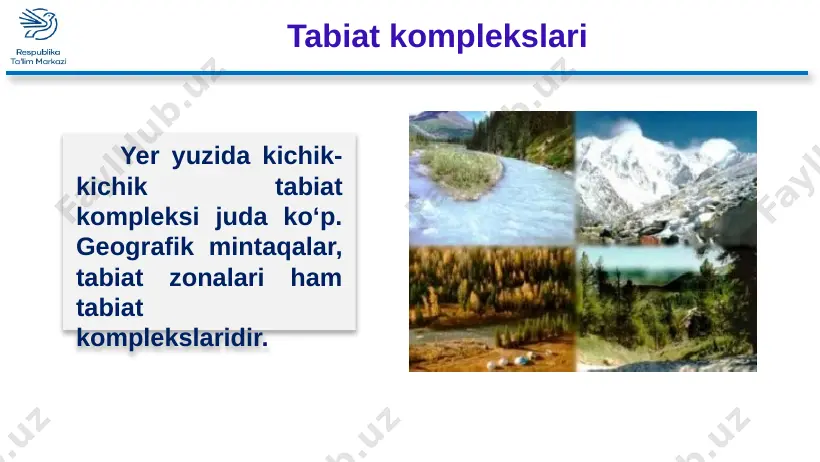 5-sinf geografiya 32.tabiat zonalari+ - Page 5