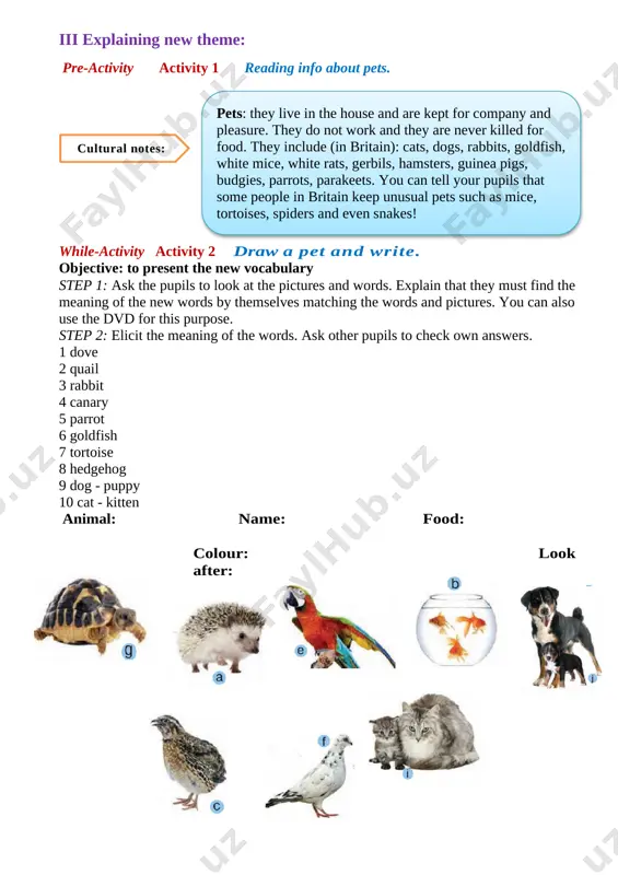 happy_pets_lesson_plan_shoxista_—_new_version_220218235013 - Page 5