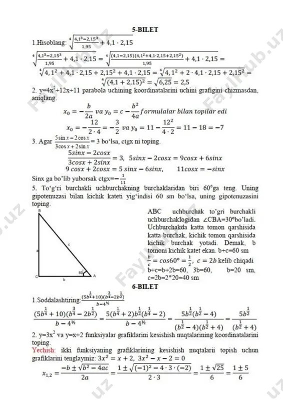 9 sinf matematika imtihon javoblar - Page 5