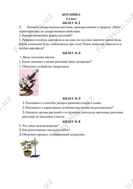 te ponyatie o provodyashey tkani. 3. opishite rastenie, izobrajennoe na risunke, i nazovite kajduyu chast. bilet № 21 1. chto obshego u vsex rasteniy? 2. rasskajite o xarakternix osobennostyax sosni obiknovennoy. 3. pochemu uli pchyol nado stavit v sadax i na polyax? bilet № 22 1. rasskajite o vnutrennem stroenii steblya. 2. kakovo znachenie udobreniy v jizni rasteniy? 3. ob'yasnite rezultati nablyudeniya na osnove protsessa prorastaniya odnodolnix i dvudolnix semyan. bilet № 23 1. rasskajite o sistematike tsikoriya obiknovennogo. 2. dayte ponyatie o vidoizmenennix kornyax. 3. rasskajite ob obrazovanii kraxmala v listyax pod deystviem sveta. bilet № 24 1. rasskajite o stroenii xvosha polevogo. 2. kakovo stroenie i funktsii obrazovatelnoy tkani? 3. iz kakix osnovnix chastey sostoit kletka? bilet № 25 1. znachenie semeystva lukovix v narodnom xozyaystve. 2. opishite pravilnie i nepravilnie tsveti. 3. rasskajite o sposobax razmnojeniya kulturnix rasteniy. bilet № 26 1. rasskajite ob osobennostyax pokritosemennix rasteniy. …