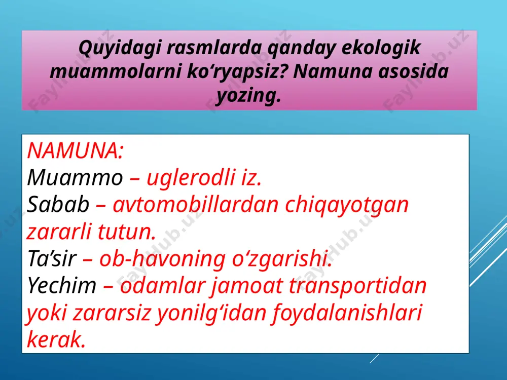 7-sinf. ekologik muammolar - Page 5