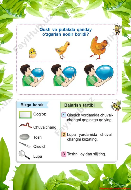 1 sinf tabiiy fan ko'rgazmalar yillik - Page 5