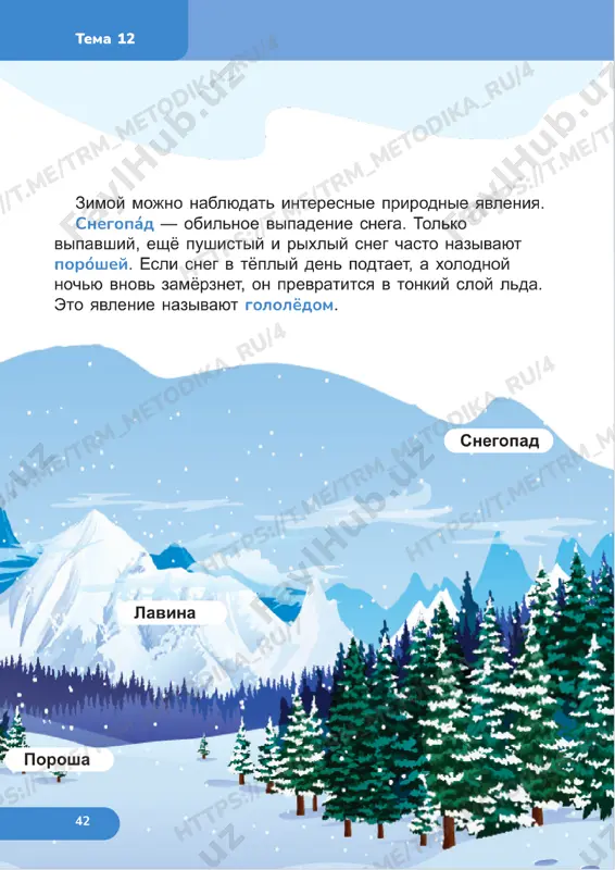 estestvoznanie 1 klass uroki 12-13 - Page 5