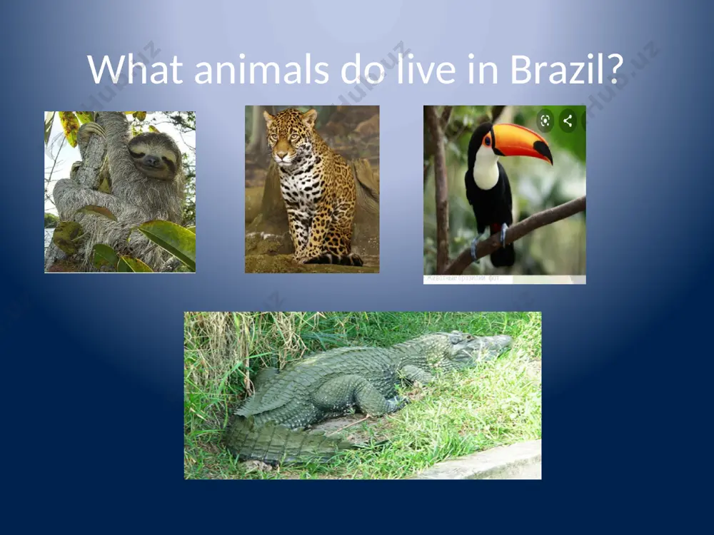 presentation for the 7th grades - Page 5