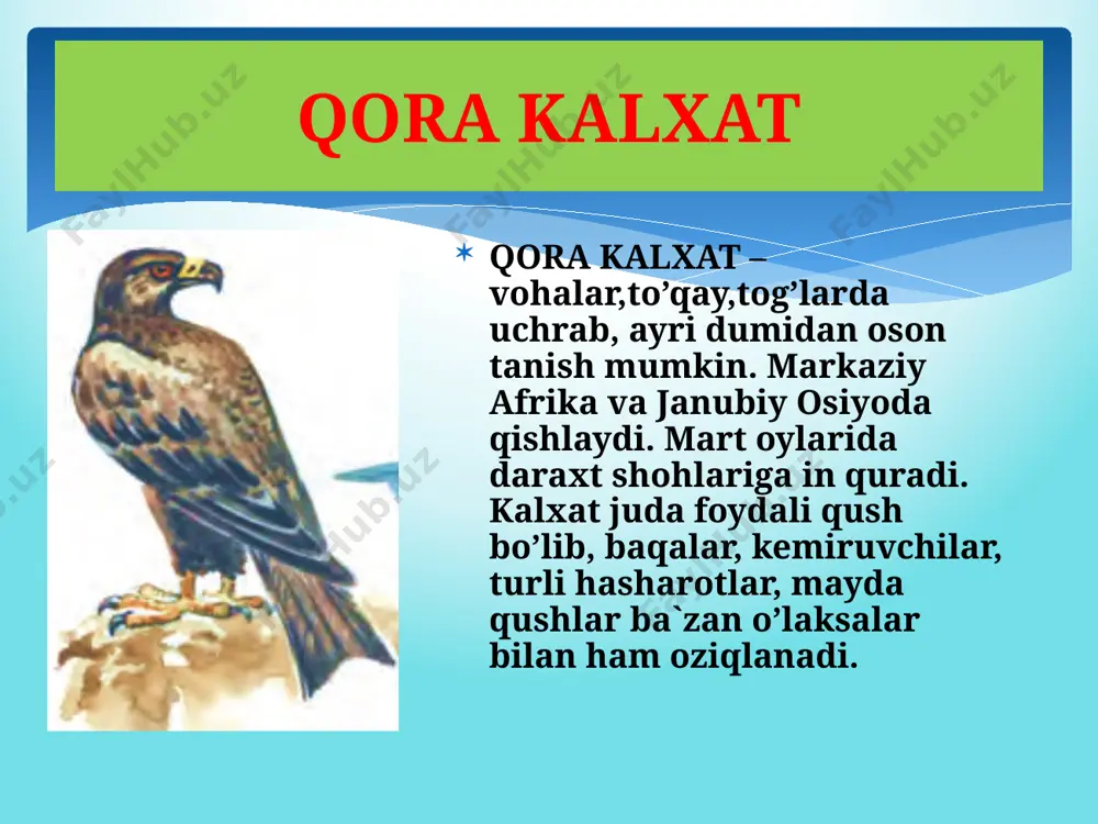 7- sinf biologiya yirtqich qushlar - Page 5