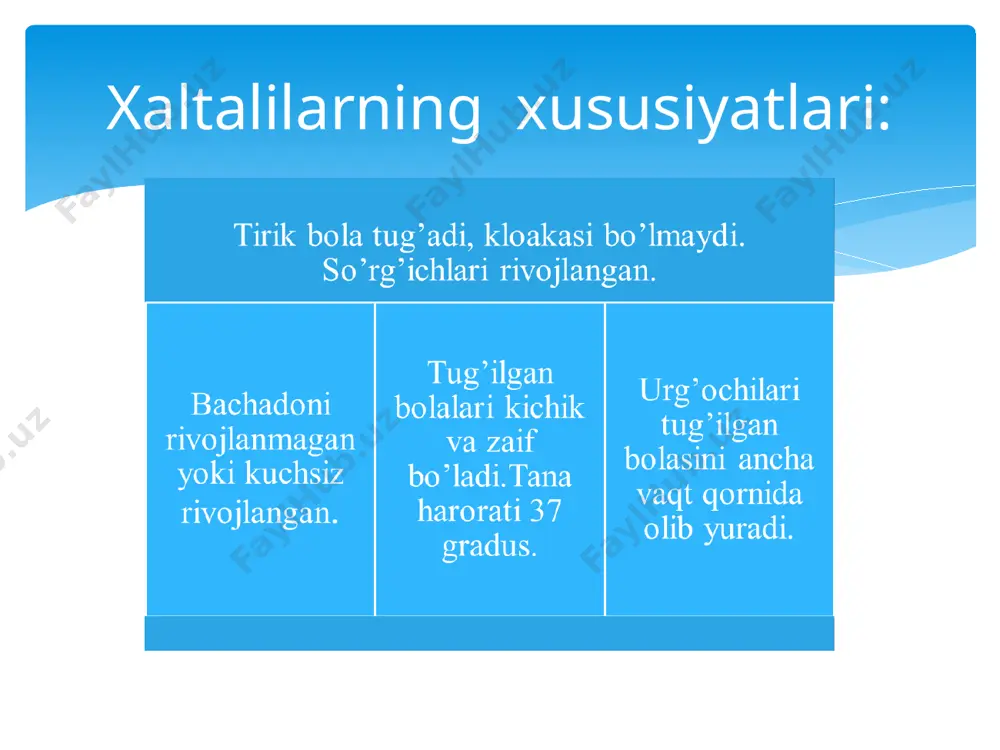 sutemizuvchilarning xilma-xilligi - Page 5
