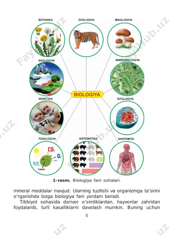 sohada shug‘ullanishni xohlagan bo‘lardingiz? nima uchun? 8 1-laboratoriya mashg‘uloti 1.1. xavfsizlik texnikasi qoidalari bilan tanishish 1. laboratoriya va amaliy mashg‘ulotlarni o‘qituvchingiz nazorati ostida amalga oshiring. 2. mashg‘ulotlarni bajarish tartibini diqqat bilan o‘qib chiqing. 3. kerakli jihozlarni topib, stol ustiga tartib bilan qo‘ying. ortiqcha narsalarni olib tashlang. 4. asboblarning sozligini, idishlarning butunligini tekshiring. darz ketgan, cheti uchgan probirka va kolbalardan foydalanmang! 5. qizdirganda yoki qaynatganda probirka va kolbalar maxsus tutqich yordamida ushlanishini yodingizda tuting. probirka yoki kolba og‘zini hech kim yo‘q tomonga qaratib oching. 6. tajriba tugagach, barcha idishlarni tozalab, o‘qituvchiga topshiring. 7. tajribani tugatganingizdan so‘ng qo‘lingizni sovunlab yuvishni unutmang. 1.2. laboratoriya jihozlari bilan tanishish 2-rasm. laboratoriya jihozlari (izoh keyingi betda). 1 654 32 9 1. probirka – moddalarning xususiyatini o‘rganish uchun ishlatila- digan shisha idish. 2. pipetka – suyuqlikni tomizishga yordam beradi. 3. pinset – qisqich. o‘rganilayotgan obyektni qisib olishda, ko‘chi- rishda ishlatiladi. 4. petri idishchalari – ikki qismdan iborat …