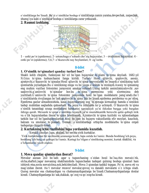 gan popukchasi bor. 6-bilet 1. ra’nodoshlar oilasiga qanday o‘simliklar kiradi? ra‘nodoshlar oilasiga kiruvchi o‘simliklar: tobulg‘i, olcha, na‘matak, olma, olxo‘ri, bodom, nok, shaftoli, kamxastak, gilos, qulupnay, maymunjon. bu oilaga shimoliy yarimsharning mo‘tadil iqlimli mintaqalarida o‘sadigan 3000 ga yaqin turdagi daraxt, buta va ko‘p yillik o‘tlar kiradi 2. kurtakning ichki tuzilishini lupa yordamida kuzatish. kerakli jihozlar: lupa, skalpel, bir nechta yirik kurtaklar. yirik kurtaklardan bir nechtasini uzunasiga kesib, lupa ostida ko‘ramiz. bunda boshlang‘ich poya, boshlang‘ich barg va qobiqni ko‘ramiz. kurtagi ko‘rilgan o‘simlikning nomini, kurtak shaklini, va o‘lchamlarini yozib olamiz. 7-bilet 1. o’simliklarga qanday ekologik omillar ta’sir qiladi ? tashqi muhitning o`simlik hayot faoliyatiga tasir etuvhi ayrim tarkibiy qismiga ekologik omil deyiladi. u 2 ga bo`linadi abiotik va biotik. abiotik omillarga o`lik tabiat tarkbiy qismlari kiradi. bunga tuproq ,suv harorat, yorug`lik kabilar.biotik omillariga esa bakteriyalar, zamburug`lar kiradi.o`simlikda suv 60-90%ni tashkil etadi. yorug`likka qarab, soyasevar va yorug`sevar o`simliklarga bo`linadi. ba‘zi o`simliklar boshqa o`simliklarga zamin …