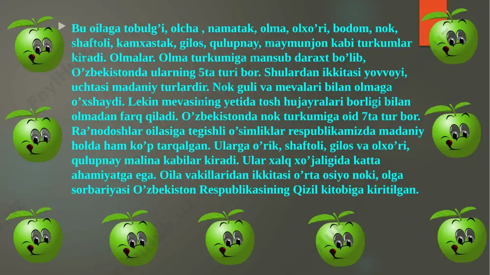 ra'nodoshlar oilasi - Page 5