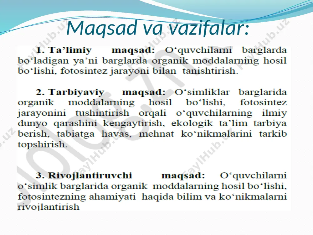 fotosintez - Page 5