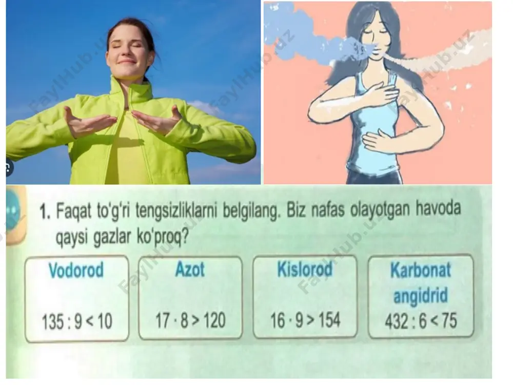 3-sinf 63-dars matematika - Page 5
