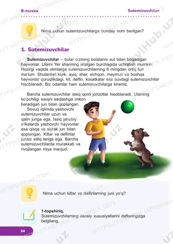 me/trm_metodika_ https://t.me/trm_metodika_uz/2 https://t.me/trm_metodika_uz/2 https://t.me/trm_metodika_uz/2 https://t.me/trm_metodika_uz/2 https://t.me/trm_metodika_uz/2 https://t.me/trm_metodika_ ht tp s:// t.m e/t rm _ ht tp s:// t. https://t.me/trm_metodika_uz/2 https://t.me/trm_metodika_uz/2 35 nima uchun ushbu guruhdagi hayvonlar shunday nom bilan ataladi? sutemizuvchilar yirtqichlar (go‘shtxo‘rlar) o‘txo‘rlar hammaxo‘rlar sherlar otlar ayiqlar bo‘rilar quyonlar sichqonlar kosatkalar fillar odamlar 2-topshiriq. ot, it, maymun, quyon, sichqon, delfin nima yeyishini ayting. ular qaysi hayvonlar guruhiga kirishini izohlang. 2. yirtqichlar, o‘txo‘rlar va o‘simlik hamda hayvonlar bilan oziqlanadiganlar (hammaxo‘rlar) 8-mavzusutemizuvchilar bilasizmi? aksariyat yirtqichlarning ko‘zlari oldinda joylashgan bo‘lib, bu ularga o‘ljasigacha qancha masofa borligini aniq baholashga yordam beradi. o‘txo‘rlarda, aksincha, ko‘zlari boshining ikki yon tomonida joylashgan. bunday tarzda ko‘rish ularga atrofda nimalar sodir bo‘layotganini va yaqinlashayotgan yirtqichni payqash imkonini beradi. https://t.me/trm_metodika_uz/2 https://t.me/trm_metodika_ https://t.me/trm_metodika_uz/2 https://t.me/trm_metodika_uz/2 https://t.me/trm_metodika_uz/2 https://t.me/trm_metodika_uz/2 https://t.me/trm_metodika_uz/2 https://t.me/trm_metodika_uz/2 https://t.me/trm_metodika_uz/2 https://t.me/trm_metodika_uz/2 https://t.me/trm_metodika_uz/2 https://t.me/trm_metodika_uz/2 https://t.me/trm_metodika_uz/2 36 qadim zamonlardanoq odamlar yovvoyi hayvonlarni qo‘lga o‘rgatishni boshlaganlar. it birinchi qo‘lga o‘rgatilgan hayvon bo‘ldi. yovvoyi itlarni odamlarning yashash joylarida to‘planib qolgan hayvon qoldiqlari jalb qilgan. vaqt …