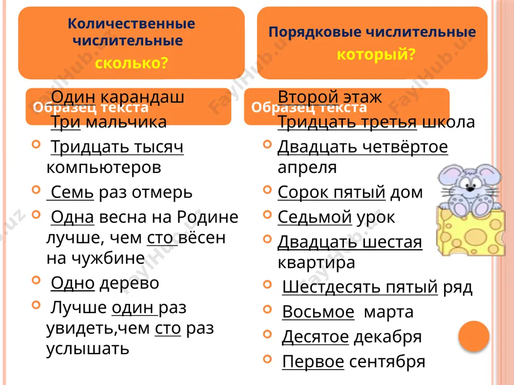 imya chislitelnoe prezentatsiya1 - Page 5