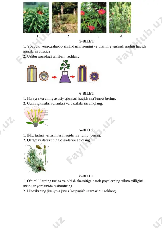 ushbu rasm haqida ma’lumot bering. [image: image28.png] 27-bilet 1. piyozdoshlar oilasining xalq xo‘jaligidagi ahamiyati. 2. to‘g‘ri va qiyshiq gullarni solishtiring. [image: image29.png] 28-bilet 1. lolaguldoshlar oilasiga mansub o‘simliklar haqida ma’lumot bering. 2. hujayraning tuzilishi. [image: image30.png] 29-bilet 1. gul diagrammasi va gul formulasi qanday tuziladi? 2. ushbu rasmni izohlang. [image: image31.png] 30-bilet 1. tanasi tez va sekin yo‘g‘onlashadigan daraxtlarga beshtadan misol keltiring. 2. ushbu rasmni ta’riflang. [image: image32.png] testlarning javoblarini to’liq yuklab olish uchun telegramdagi @metodik yordam kanaliga kiring. bog’lanish uchun +998913982776 raqamiga qo’ng’iroq qiling [image: image33.jpg]