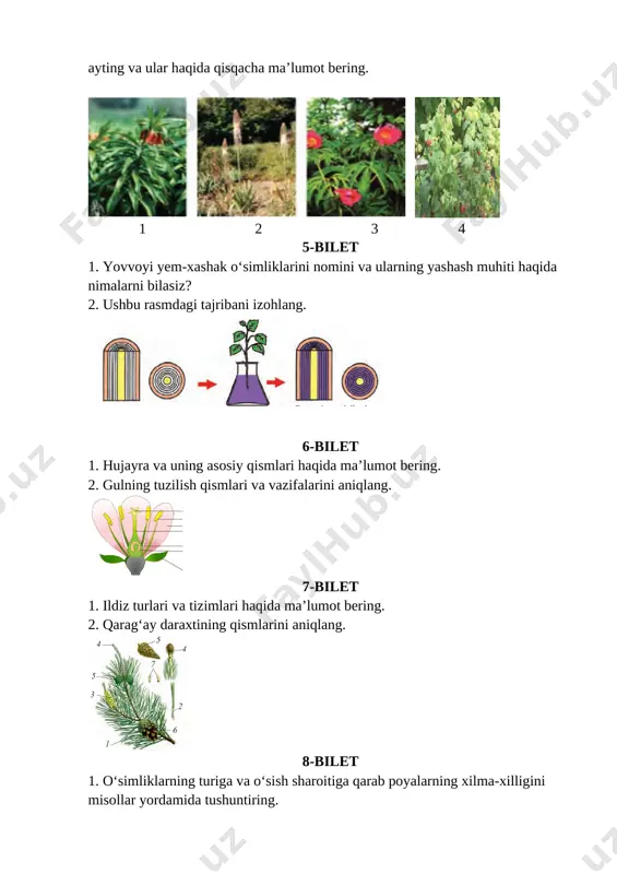 ushbu rasm haqida ma’lumot bering. [image: image28.png] 27-bilet 1. piyozdoshlar oilasining xalq xo‘jaligidagi ahamiyati. 2. to‘g‘ri va qiyshiq gullarni solishtiring. [image: image29.png] 28-bilet 1. lolaguldoshlar oilasiga mansub o‘simliklar haqida ma’lumot bering. 2. hujayraning tuzilishi. [image: image30.png] 29-bilet 1. gul diagrammasi va gul formulasi qanday tuziladi? 2. ushbu rasmni izohlang. [image: image31.png] 30-bilet 1. tanasi tez va sekin yo‘g‘onlashadigan daraxtlarga beshtadan misol keltiring. 2. ushbu rasmni ta’riflang. [image: image32.png]