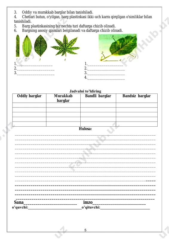 zga chizing. ----------------------------------------------------------------------------------------------------------- ----------------------------------------------------------------------------------------------------------- ----------------------------------------------------------------------------------------------------------- ------------------------------------------------------------------------------------------------------- jadvalni to’ldiring oddiy gulqorg’onli osimliklar murakkab gulqo’rg’onli o’somliklar to’g’ri gullar quyshiq gullar 7 jadvalni to’ldiring to’pgullarni nomi tuzilishi misollar oddiy shingil boshoq soyabon savatcha so’ta murakkab murakkab boshoq murakkab soyabon po’vach _______________________________________________________________________ hulosa: _______________________________________________________________________ _______________________________________________________________________ _______________________________________________________________________ _______________________________________________________________________ _______________________________________________________________________ _______________________________________________________________________ _______________________________________________________________________ _______________________________________________________________________ _______________________________________________________________________ _______________________________________________________________________ _______________________________________________________________________ _______________________________________________________________________ _______________________________________________________________________ _______________________________________________________________________ _______________________________________________________________________ _______________________________________________________________________ sana___________________________ imzo_______________________